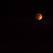 Lunar eclipse - 42