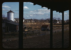 [Small farm of John P. Collins, Taunton, Mass.] (LOC)