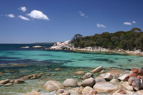 Sloop Reef Beach. Humbug Point Cons. Area. NE Tasmania.