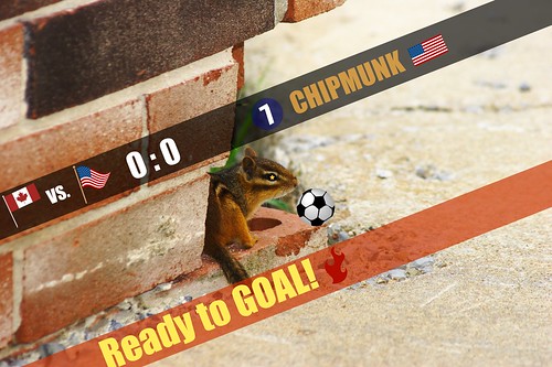 Chipmunk: Ready to GOAL!