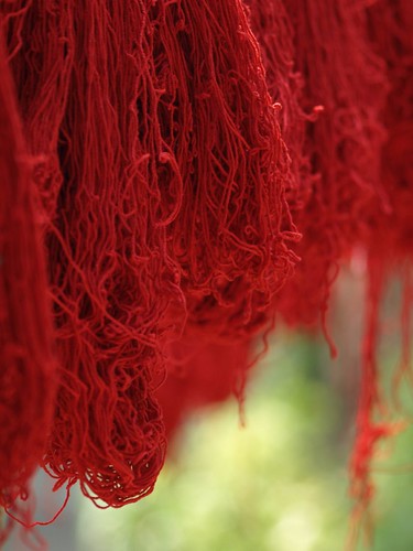 Red Thread at WSDP Nepal by Sara Parker