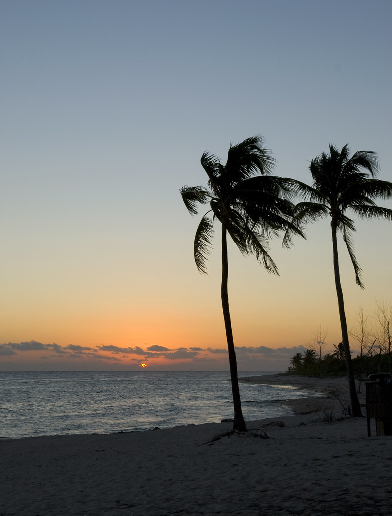 sunset 2 palms