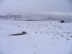 Path Under Snow