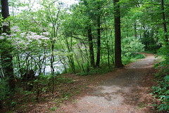 Path and lake