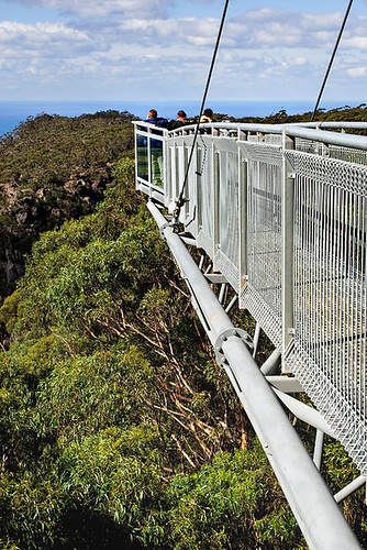 Illawarra Fly Tree Top Walk, Knights Hill, New South Wales, Australia IMG_4524_Illawarra_Fly