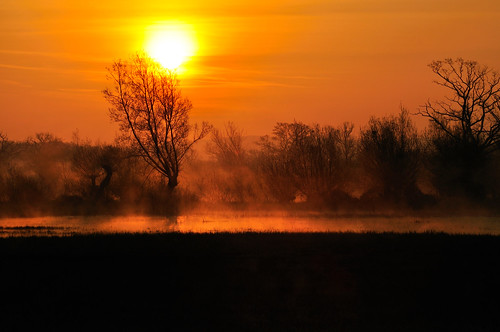 フリー画像|自然風景|朝日/朝焼け|霧/靄|フリー素材|