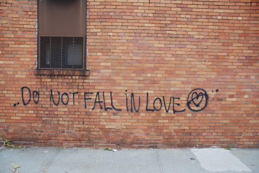 Do Not Fall in Love