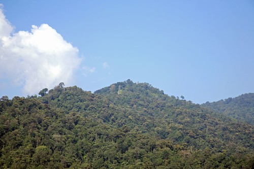 Sabarimala Hills 2