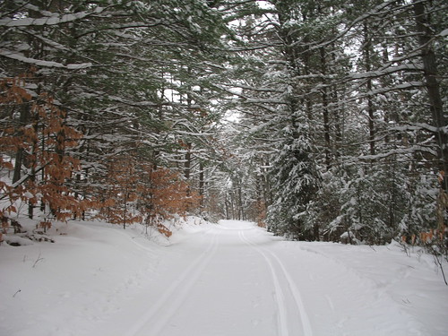 Fresh snow on the GAT trail