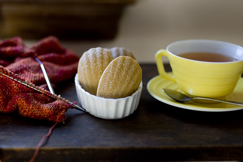 Madeleines and Tea and Knitting