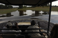 high water levels in Okavango Delta