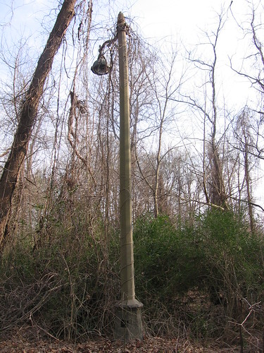 Mysterious Street Lamp in Lichterman Nature Center