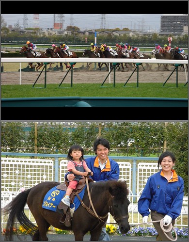 はじめての乗馬 the first horse riding-桜花賞の日-CIMG0323