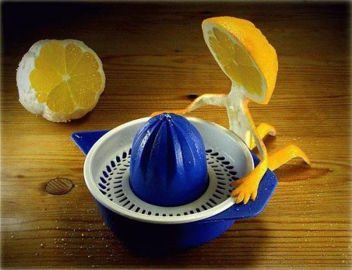 limon suicida