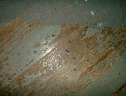 A million screws found in floors, to quiet squeaks I assume.  Good thing I didn't want these floors refinished!