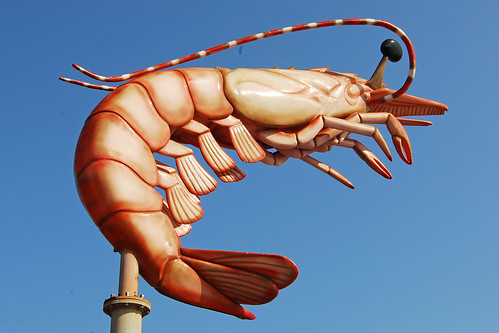 Shrimp Photo from Flickr