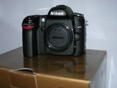 Nikon D80 (body)