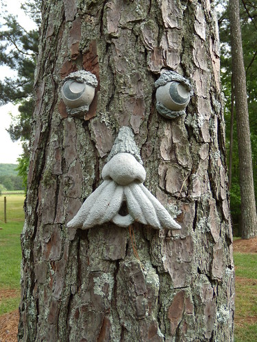 Tree with a Face