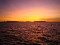 Sunset & Catalina
