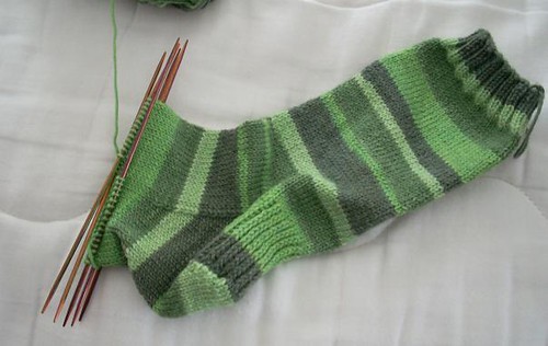 Arugula sock as of 3/1