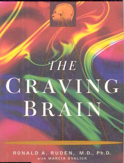 The Craving Brain~