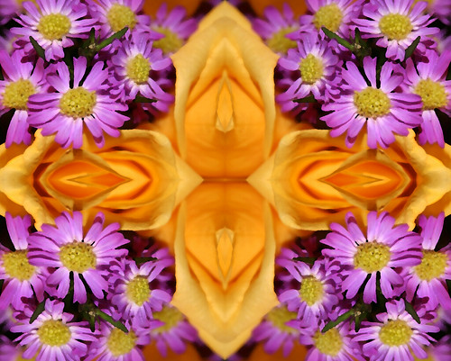 A Quilt of Living Yellow Roses & Purple Daisies