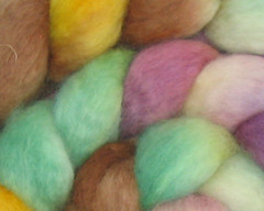 Handspun yarn or fiber... Your choice!  Masquerade on BFL - 4 oz (WW)