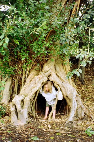Tree Hobbit by ring wood.