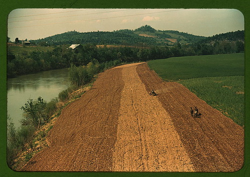 Planting corn along a river in northeastern Tennessee (LOC)