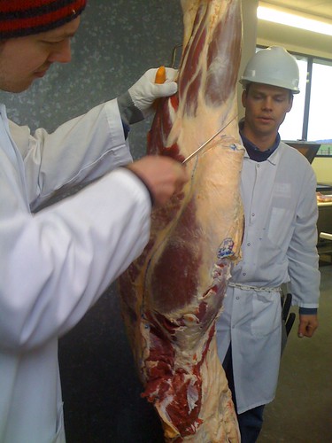 Beef Fabrication 3