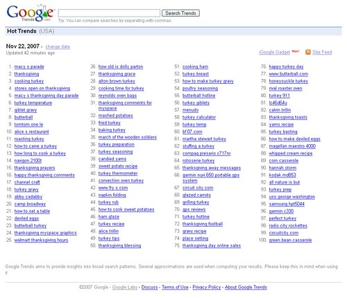 2007 Thanksgiving Searches On 11/22/07