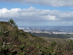 San Francisco skyline from San Bruno Mountain