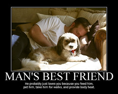 32.365 - Man's best friend