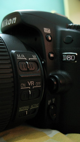 More Nikon D80 Switches