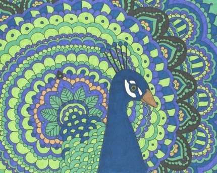 Peacock Print - 8x10