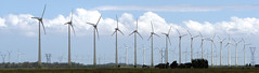 Wind Farm_2