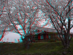 3D-anaglyph-R0012089