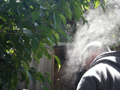 Smoking out the Bees by Lisa's Random Photos