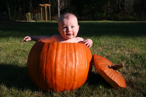 Sam in a Pumpkin