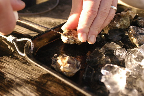 shucking oysters on the beach