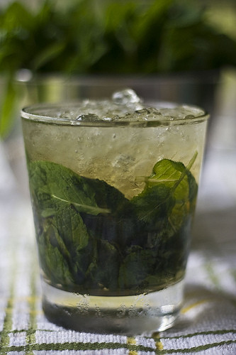 A Mint Julep cocktail.