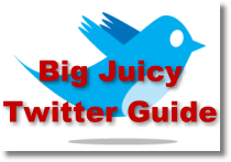 Big Juicy Twitter Guide