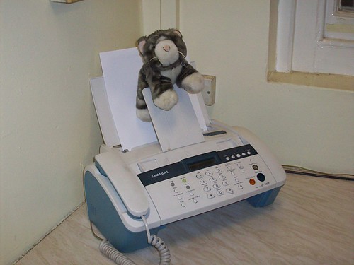 Cat on fax machine