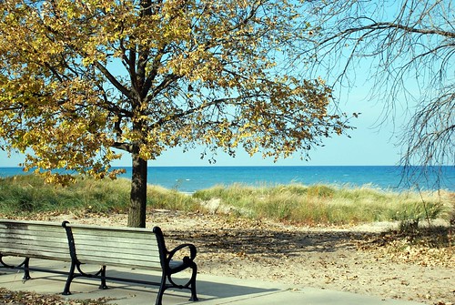 Lakefront bench in autumn
