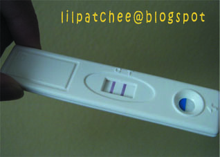 Another Pregnancy Test