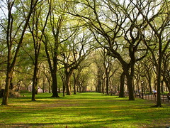 Central Park - April 18, 2008