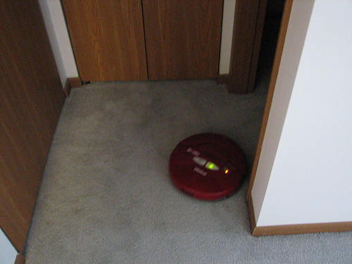 Roomba at work and play
