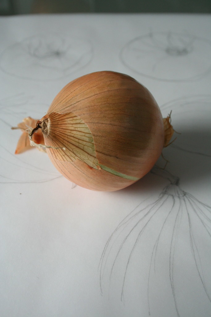 onion study