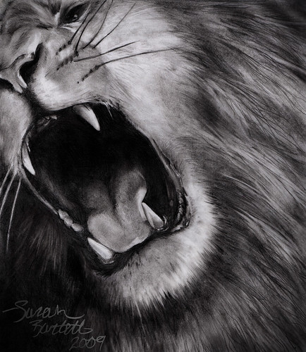 Lion Roaring Drawing. Lion Tattoos