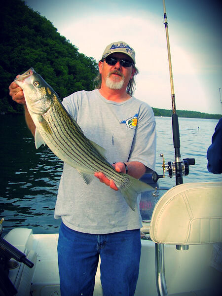 Fishing for striped bass at Smith Mountain Lake - you can fish from Smith Mountain Lake State Park or hire a charter